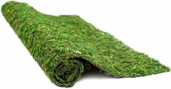 Galapagos Mossy Crash Pad Terrarium Bedding, Fresh Green, 18-in x 36-in slide 2 of 5