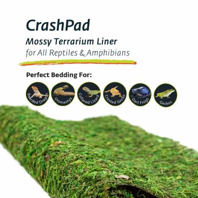 Show full view: Galapagos Mossy Crash Pad Terrarium Bedding, Fresh Green, 18-in x 36-in slide 5 of 6