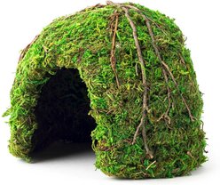 Galapagos Mossy Dome Reptile & Amphibian Terrarium Accessory, Fresh Green, 6-in