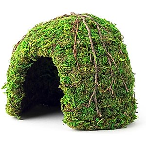 Galapagos Mossy Dome Reptile & Amphibian Terrarium Accessory, Fresh Green, 6-in
