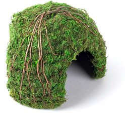 Galapagos Mossy Dome Reptile & Amphibian Terrarium Accessory, Fresh Green, 6-in slide 2 of 4