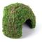 Show in main carousel: Galapagos Mossy Dome Reptile & Amphibian Terrarium Accessory, Fresh Green, 6-in slide 2 of 5