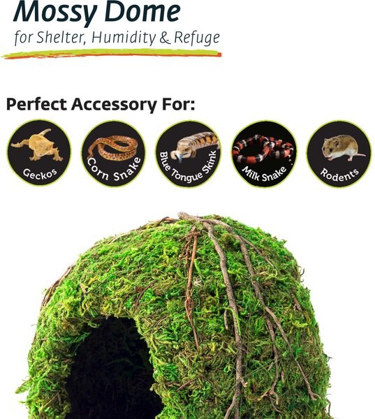 Galapagos Mossy Dome Reptile & Amphibian Terrarium Accessory, Fresh Green