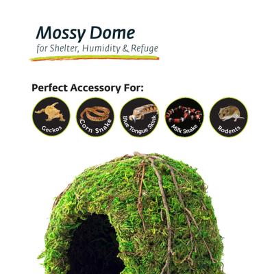 Show full view: Galapagos Mossy Dome Reptile & Amphibian Terrarium Accessory, Fresh Green, 6-in slide 4 of 5
