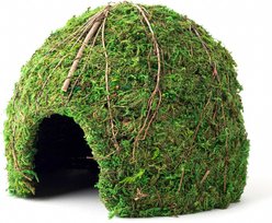Galapagos Mossy Dome Reptile & Amphibian Terrarium Accessory, Fresh Green, 9-in