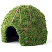 Show in main carousel: Galapagos Mossy Dome Reptile & Amphibian Terrarium Accessory, Fresh Green, 9-in slide 1 of 5