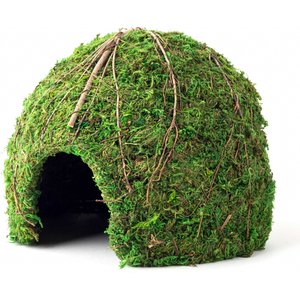 Galapagos Mossy Dome Reptile & Amphibian Terrarium Accessory, Fresh Green, 9-in