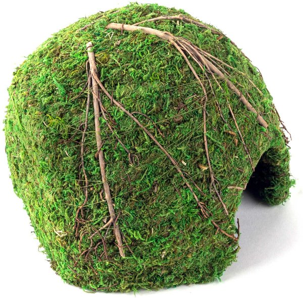 Show full view: Galapagos Mossy Dome Reptile & Amphibian Terrarium Accessory, Fresh Green, 9-in slide 2 of 5