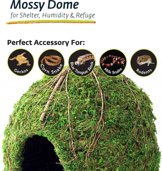 Show full view: Galapagos Mossy Dome Reptile & Amphibian Terrarium Accessory, Fresh Green, 9-in slide 4 of 5