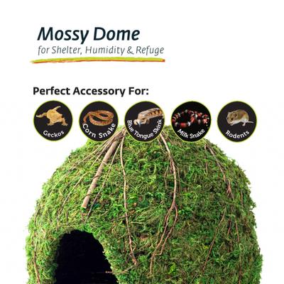 Show full view: Galapagos Mossy Dome Reptile & Amphibian Terrarium Accessory, Fresh Green, 9-in slide 4 of 5