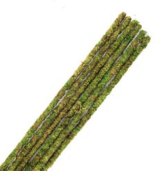 Galapagos Mossy Sticks, Fresh Green, 6 count, 18-in slide 2 of 5