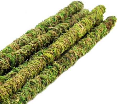 Show full view: Galapagos Mossy Sticks, Fresh Green, 6 count, 18-in slide 3 of 6