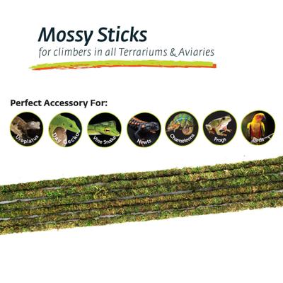 Show full view: Galapagos Mossy Sticks, Fresh Green, 6 count, 18-in slide 5 of 6