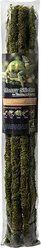 Galapagos Mossy Sticks, Fresh Green, 6 count, 24-in