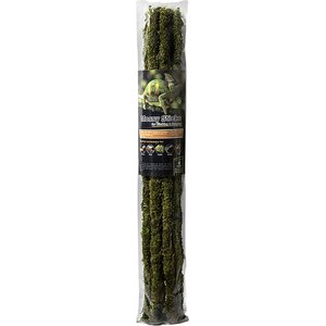 Galapagos Mossy Sticks, Fresh Green, 6 count, 24-in