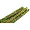 Show in main carousel: Galapagos Mossy Sticks, Fresh Green, 6 count, 24-in slide 2 of 3