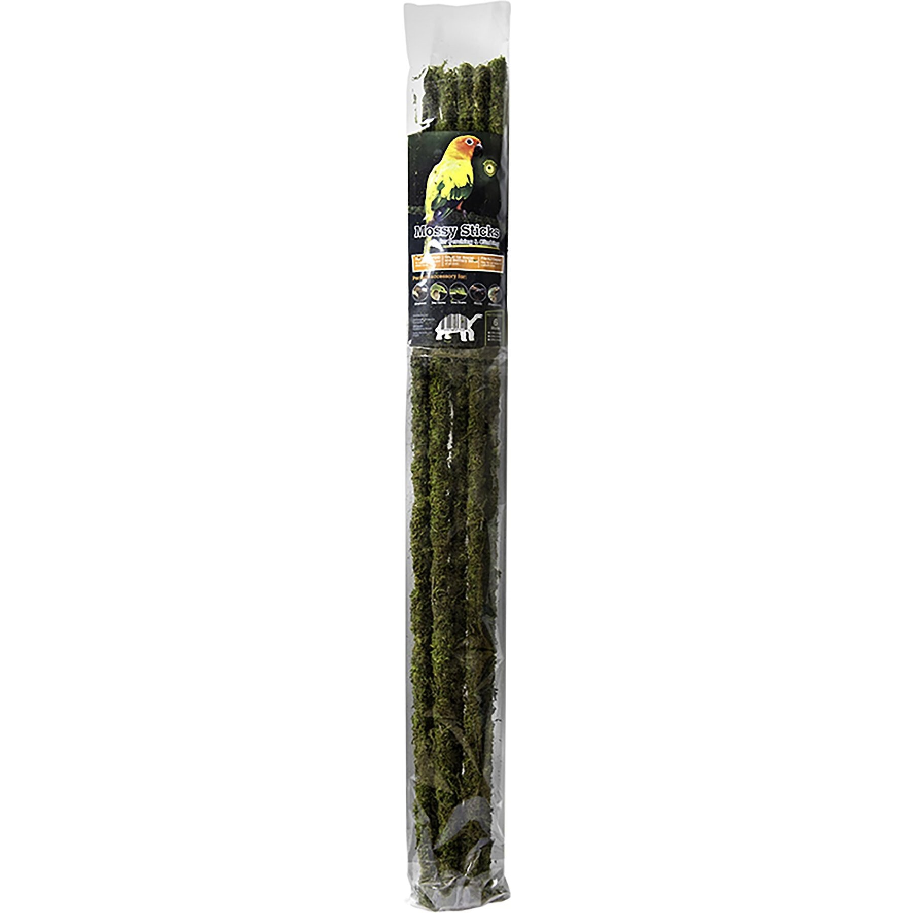 Galapagos Mossy Sticks, Fresh Green, 6 count, 32-in