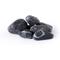 Show in main carousel: Galapagos Natural Terrarium Stones, 4-lb bag, Black slide 1 of 4