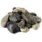 Show in main carousel: Galapagos Natural Terrarium Stones, 4-lb bag, Mixed slide 1 of 2
