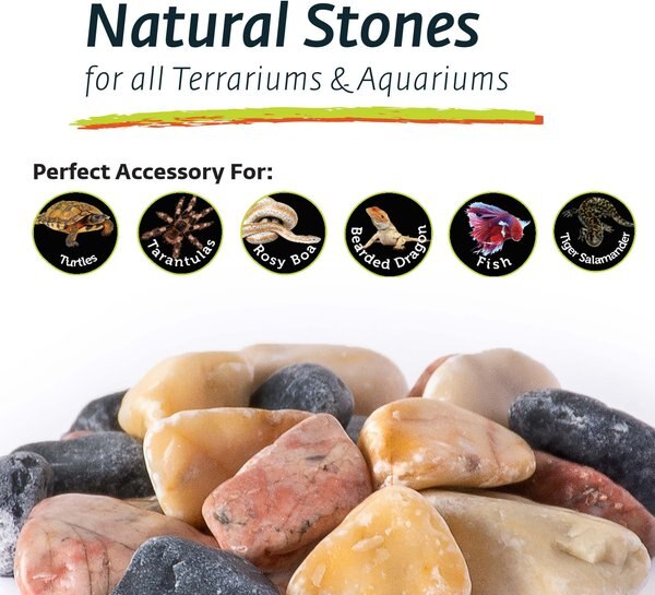 Galapagos Natural Terrarium Stones, 4-lb bag