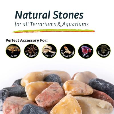 Show full view: Galapagos Natural Terrarium Stones, 4-lb bag, Red slide 3 of 4