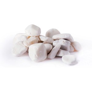 Galapagos Natural Terrarium Stones, 4-lb bag, White