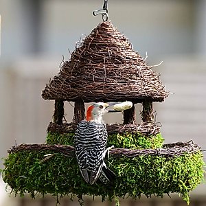 Galapagos Plantable Gazebo Birdhouse, Fresh Green