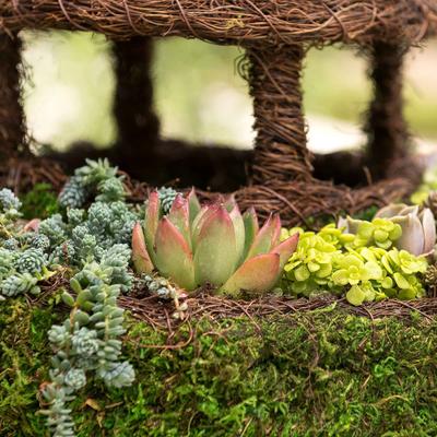 Show full view: Galapagos Plantable Gazebo Birdhouse, Fresh Green slide 4 of 7