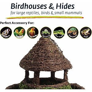 Galapagos Plantable Gazebo Birdhouse, Fresh Green