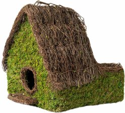 Galapagos Plantable Maison Birdhouse, Fresh Green