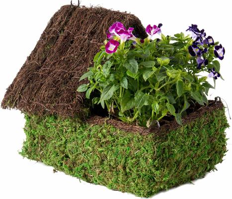 Show full view: Galapagos Plantable Maison Birdhouse, Fresh Green slide 3 of 6