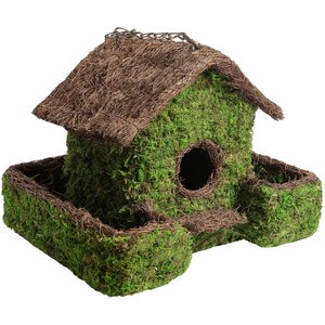 Galapagos Plantable Maison Patio Birdhouse, Fresh Green