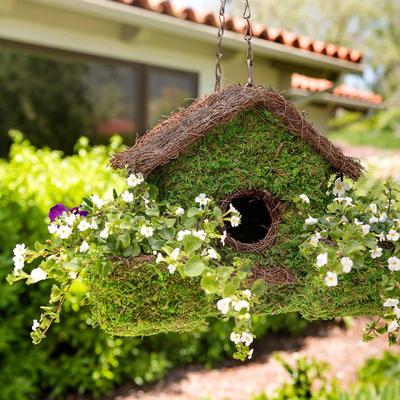 Show full view: Galapagos Plantable Maison Patio Birdhouse, Fresh Green slide 3 of 7