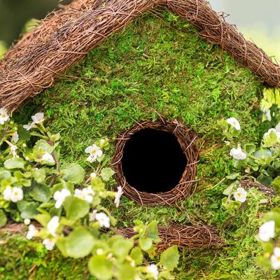 Show full view: Galapagos Plantable Maison Patio Birdhouse, Fresh Green slide 4 of 7