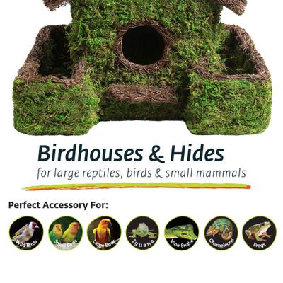 Show full view: Galapagos Plantable Maison Patio Birdhouse, Fresh Green slide 6 of 7