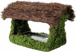 Galapagos Porch Birdhouse, Fresh Green