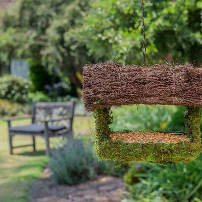 Show full view: Galapagos Porch Birdhouse, Fresh Green slide 3 of 6