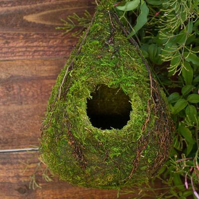 Show full view: Galapagos Raindrop Deco Birdhouse, Fresh Green slide 3 of 5