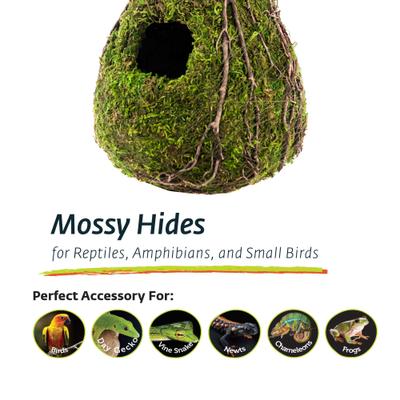 Show full view: Galapagos Raindrop Deco Birdhouse, Fresh Green slide 4 of 5