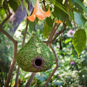 Galapagos Raindrop Woven Birdhouse, Fresh Green