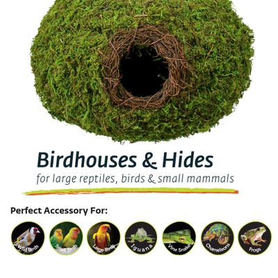 Show full view: Galapagos Raindrop Woven Birdhouse, Fresh Green slide 4 of 8