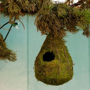 Galapagos Raindrop Woven Birdhouse, Fresh Green