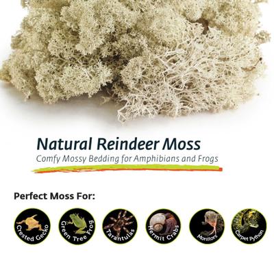 Show full view: Galapagos Reindeer Reptile, Amphibian & Insect Terrarium Moss, 150 cubic inch bag slide 5 of 6