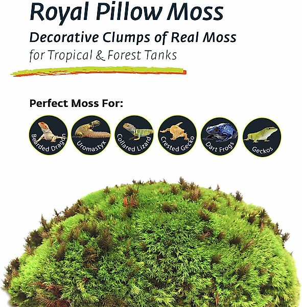 Galapagos Royal Pillow Moss Reptile & Amphibian Terrarium Moss, Fresh Green