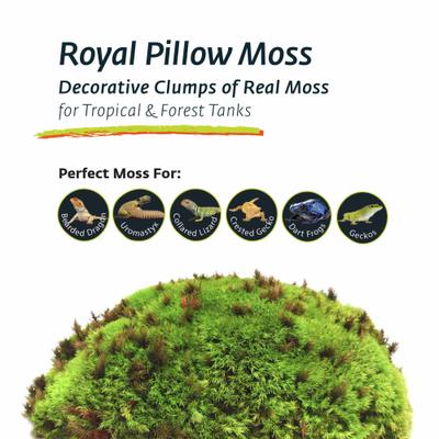 Show full view: Galapagos Royal Pillow Moss Reptile & Amphibian Terrarium Moss, Fresh Green, 150 cubic inch bag slide 7 of 7