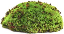 Galapagos Royal Pillow Moss Reptile & Amphibian Terrarium Moss, Fresh Green, 8-qt bag slide 2 of 7