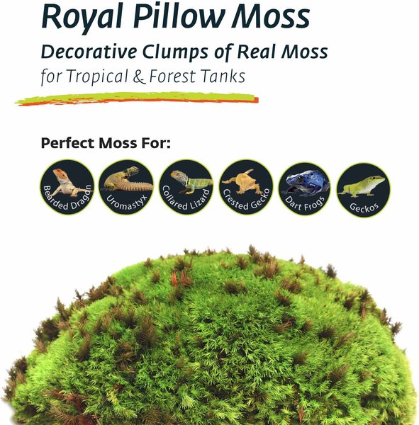 Galapagos Royal Pillow Moss Reptile & Amphibian Terrarium Moss, Fresh Green