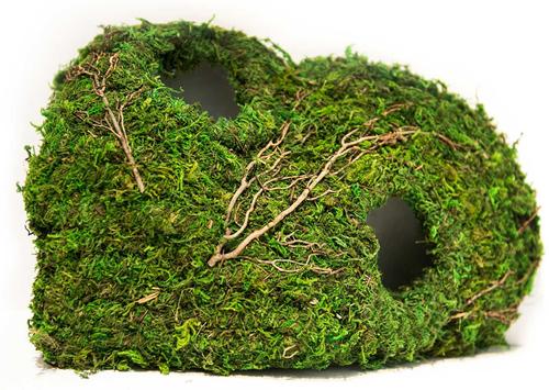 Show full view: Galapagos Sapa Corner Hideout Reptile Terrarium Accessory, Fresh Green, 10-in slide 6 of 8