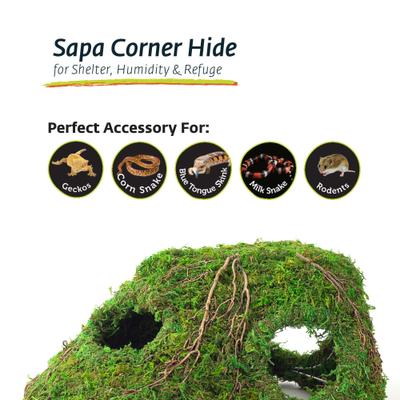 Show full view: Galapagos Sapa Corner Hideout Reptile Terrarium Accessory, Fresh Green, 10-in slide 7 of 8
