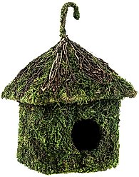 Galapagos Shack Deco Birdhouse, Fresh Green